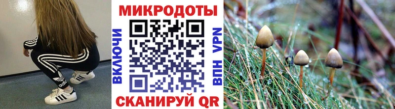 Псилоцибиновые грибы MAGIC MUSHROOMS  Челябинск 